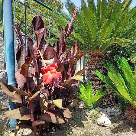 Casa Indipendente Roque Vista Al Mar Con Parking Gratuito