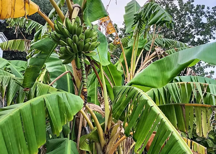 Casa Indipendente Roque Vista Al Mar Con Parking Gratuito * Vallecrosia