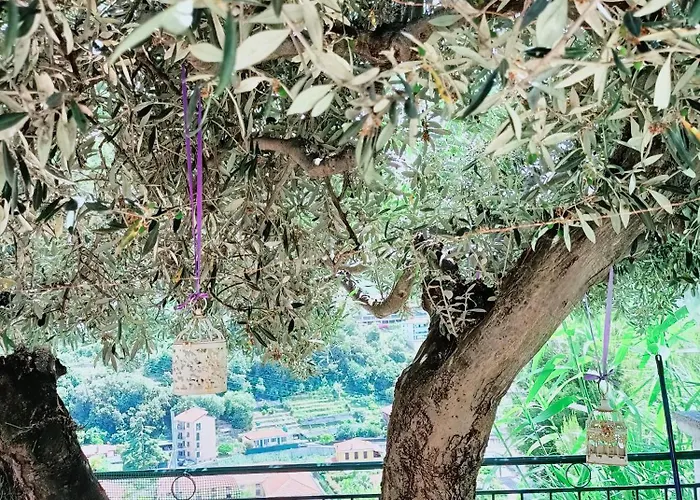 Vakantiehuis Casa Indipendente Roque Vista Al Mar Con Parking Gratuito