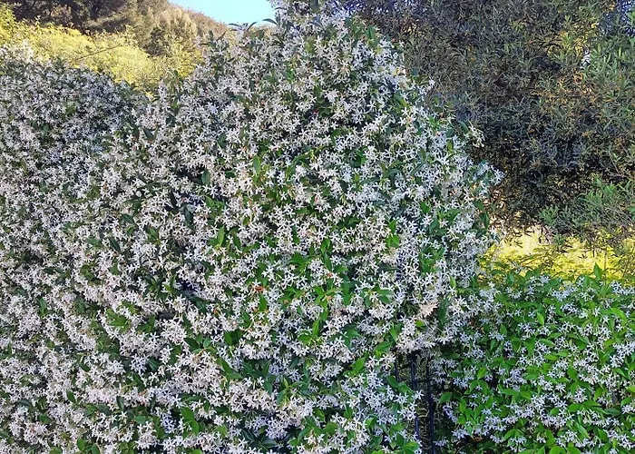 Casa Indipendente Roque Vista Al Mar Con Parking Gratuito Vakantiehuis